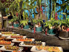 -深圳皇庭V酒店