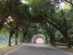 -福建鲤鱼洲酒店