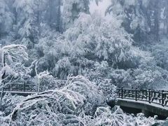 -瓦屋山景区
