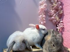 -三旗百汇商品城