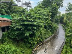 -圣淘沙天际线斜坡滑车