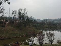 -枫香湖儿童公园