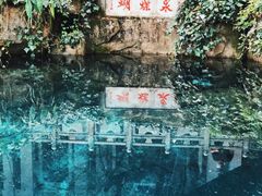 -蝴蝶泉公园