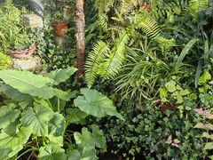 -国家植物园南园