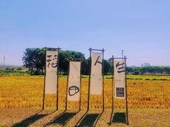 -光明小镇欢乐田园