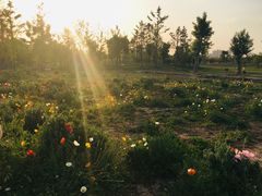 -汉长安城未央宫国家考古遗址公园