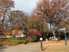 -井之头恩赐公园