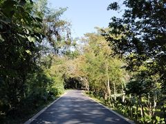 -中国科学院西双版纳热带植物园
