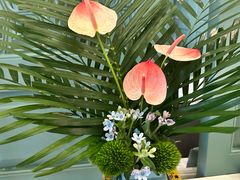 -南堂馆·新川菜(春熙路店)