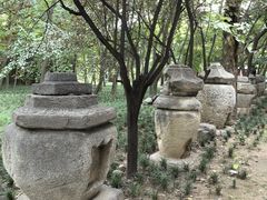 -西安大兴善寺