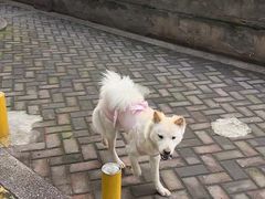 -贝利宠物医院·骨科·眼科·肿瘤转诊中心(南坪诊疗中心)