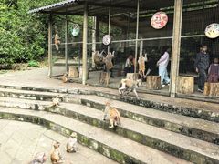 -广西龙虎山风景区