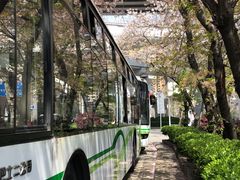 -南浦大桥长途旅游客运站
