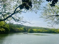 -西湖游船