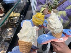 -野人先生现做冰淇淋(西安赛格店)