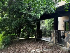 -浙江安吉JW万豪酒店·万豪中餐厅