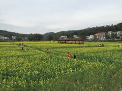-红山村