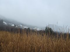 -浙西天池景区