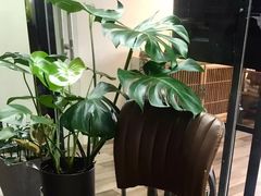 -CoCo都可(湖滨银泰店B区店)