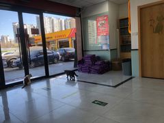 -中农大我爱我爱动物医院·核磁CT·猫病·24小时夜诊中心(石佛营店)