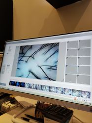 -史云逊养发护发