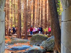 -国家植物园南园