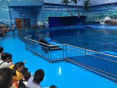 -多彩贵州城极地海洋世界