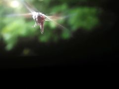 -幸福蓝海国际影城(杜比巨幕店)