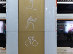 -奥体中心(地铁站)