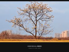 -盘龙城国家考古遗址公园