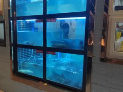 -万和源炝锅城·活鱼现炝(文艺北路店)