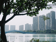 -五缘湾湿地公园