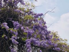 -江南大学(蠡湖校区)