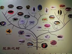 -上海昆虫博物馆