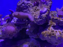-青岛海底世界-水族馆