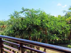 -观海酒廊(惠州金海湾喜来登度假酒店)