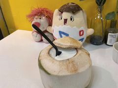 -志龙皇冠吃货椰子铺