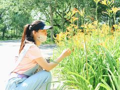 -朝阳公园游乐园