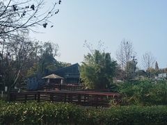 -成飞公园