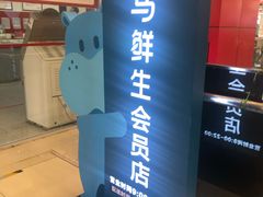 -盒马鲜生(大成店)