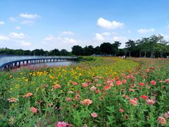 -海珠湖公园