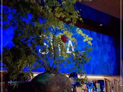 -三利音·玖弄小鲜(浦东嘉里城店)
