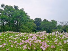 -良渚古城遗址公园