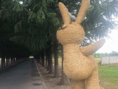 -嘉北郊野公园
