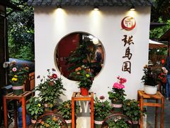 -张鸟园农家乐(张鸟园店)