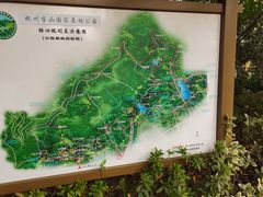 -杭州半山国家森林公园