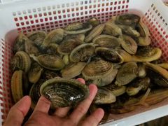 -沙田台山海鲜·酣客酒窖