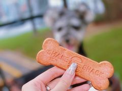 -Shake Shack(南山万象天地店)