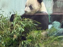 -成都动物园