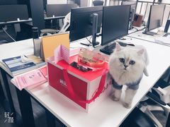 -御品轩(高新店)